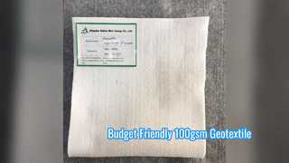 100gsm জিওটেক্সটাইল খরচ কার্যকর মিউনিসিপ্যাল ​​ল্যান্ডস্কেপ সমাধান