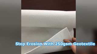 ক্ষয় নিয়ন্ত্রণের জন্য 250gsm UV প্রতিরোধী জিওটেক্সটাইল