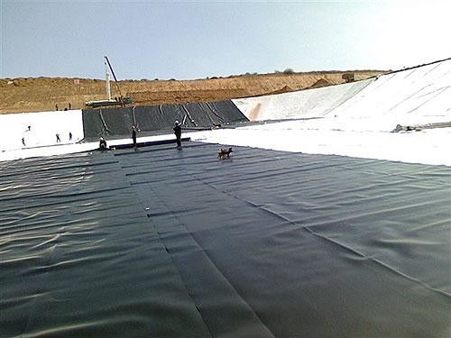 Factory Direct LDPE Geomembrane 0.2mm-2.0mm Wholesale Large Roll for Commercial Fish Shrimp Bulk Farming Supply