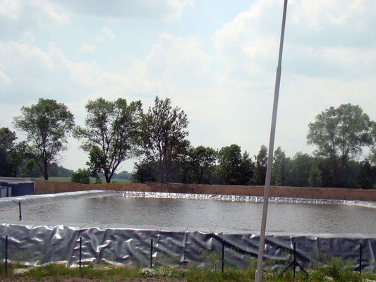 জীবনকাল ১০ বছর মাছের পুকুর সবুজ এবং টেকসই