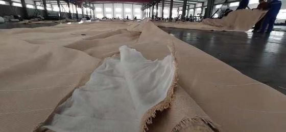 শিল্প পরিবেশে সর্বোত্তম পরিস্রাবণ কর্মক্ষমতার জন্য কাস্টমাইজড টেনসাইল স্ট্রেন্থ ফিল্টার ব্যাগ