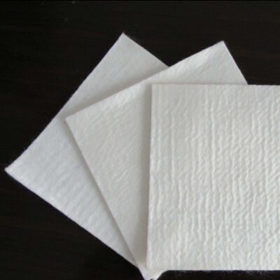 উপকূলীয় ক্ষয় নিয়ন্ত্রণের জন্য ইকো-বন্ধুত্বপূর্ণ পিপি স্ট্যাপল ফাইবার অ বোনা জিওটেক্সটাইল