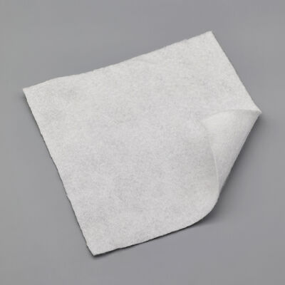 উপকূলীয় ক্ষয় নিয়ন্ত্রণের জন্য ইকো-বন্ধুত্বপূর্ণ পিপি স্ট্যাপল ফাইবার অ বোনা জিওটেক্সটাইল