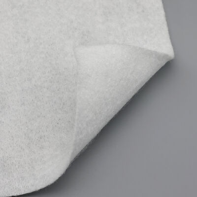 উপকূলীয় ক্ষয় নিয়ন্ত্রণের জন্য ইকো-বন্ধুত্বপূর্ণ পিপি স্ট্যাপল ফাইবার অ বোনা জিওটেক্সটাইল