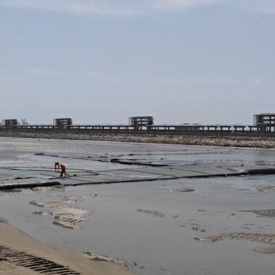 পৌর স্লাজ ট্রিটমেন্ট প্রকল্পের জন্য উচ্চ ভেদ্যতা জিওটেক্সটাইল ডিওয়াটারিং টিউব