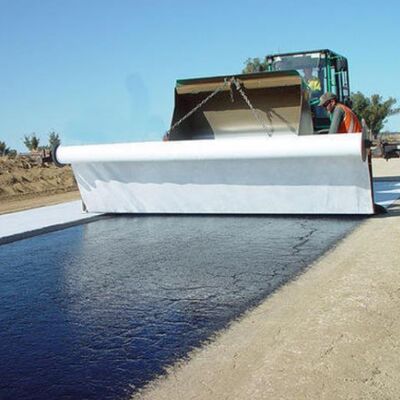 ভাল পরিস্রাবণ পরিবেশ বান্ধব ১৫০ গ্রাম ২০০ গ্রাম ৩০০ গ্রাম পিইটি লম্বা ফাইবার ইগল পঞ্চড নন-ওয়েভেন জিওটেক্সটাইল উপকূলীয় ঢাল সুরক্ষার জন্য