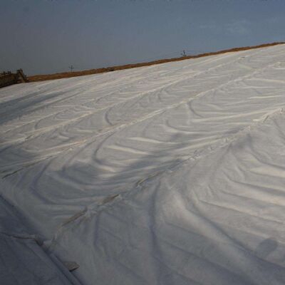 পলিয়েস্টার শর্ট ফাইবার নিডেল পাঞ্চড নন-ওভেন জিওটেক্সটাইল ফর পেভমেন্ট রিইনফোর্সমেন্ট