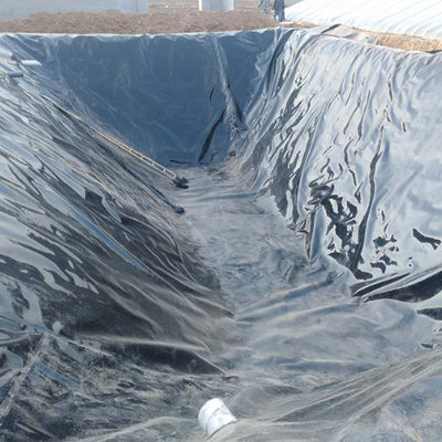 কৃষি বায়োগ্যাস ডাইজেস্টার কভারের জন্য গ্যাস টাইট এইচডিপিই জিওমেমব্রেন লাইনার