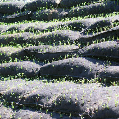 নরম জিওটেক্সটাইল রিইনফোর্সমেন্ট ফ্যাব্রিক বন্যার নিয়ন্ত্রণের জন্য আদর্শ নদী তীরে এবং উপকূলীয় প্রকৌশল প্রকল্পগুলি মাটির রিইনফোর্সমেন্ট সরবরাহ করে