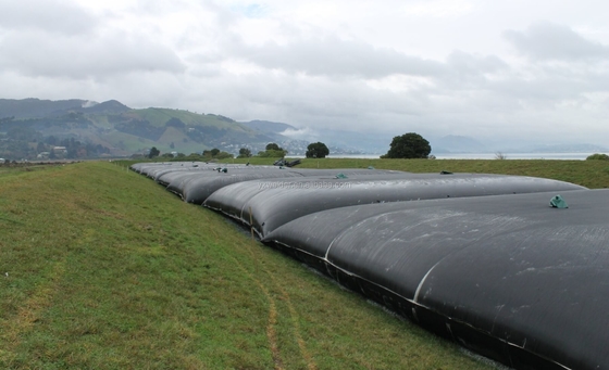 200/200KN ফিল্টারিং স্লাজ ডিওয়াটারিং টিউব C12.57 L50