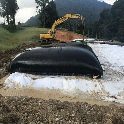 পলি ফিল্টার বালি ফিল্টার উপকূলীয় বার্মের জন্য ডিওয়াটারিং জিওটেক্সটাইল টিউব জিওব্যাগ পিপি পিইটি জিওটিউব
